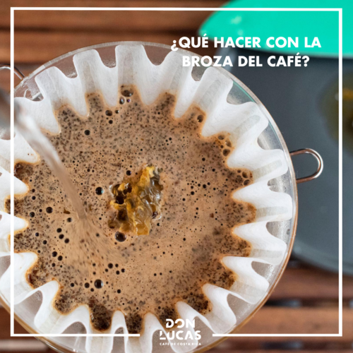 ¿QUÉ HACER CON LA BROZA DEL CAFÉ?