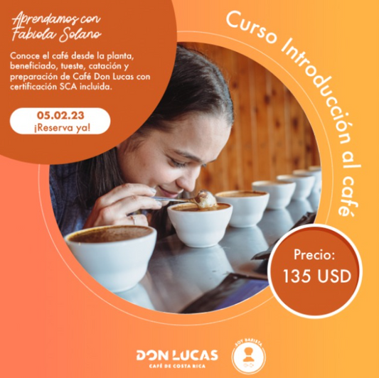 ¿Querés aprender de café y no sabés ni por donde empezar?