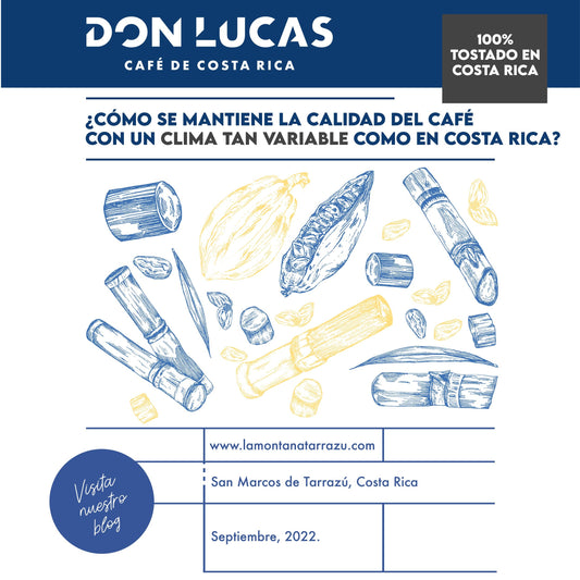 ¿Cómo se mantiene la calidad del café con un clima tan variable como en Costa Rica?