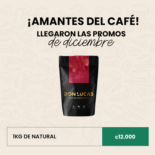 PROMO 2 DICIEMBRE