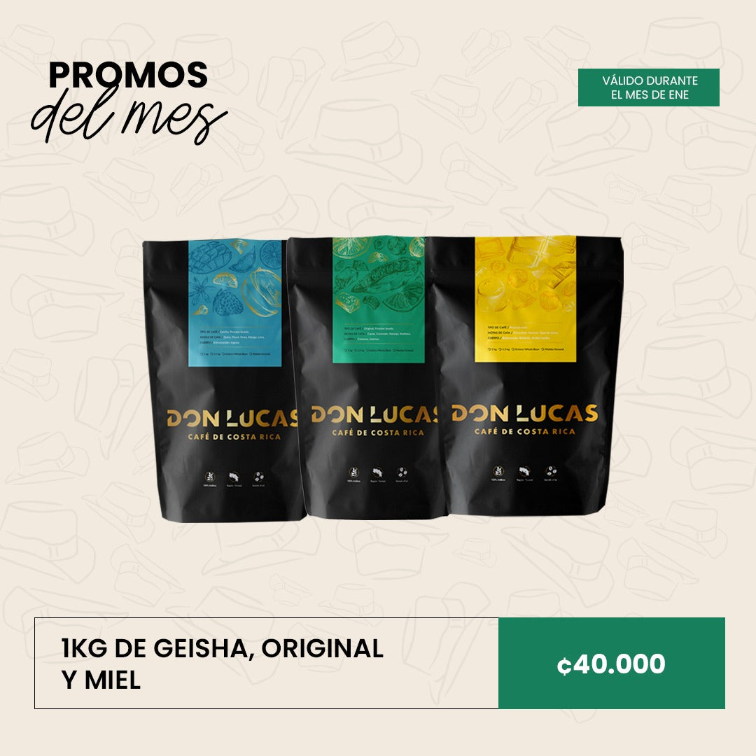 PROMO 1 ENERO