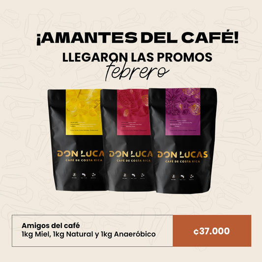 PROMO 2 FEBRERO