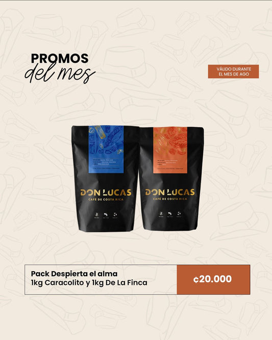 PROMO 4 AGOSTO DESPIERTA EL ALMA