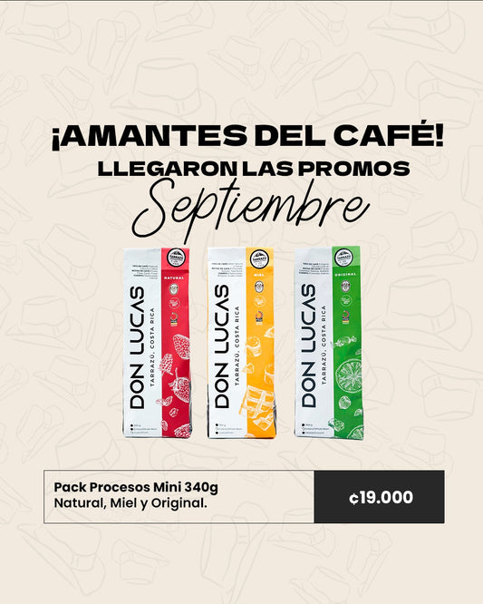PROMO 1 SEPTIEMBRE PROCESOS MINI 340G
