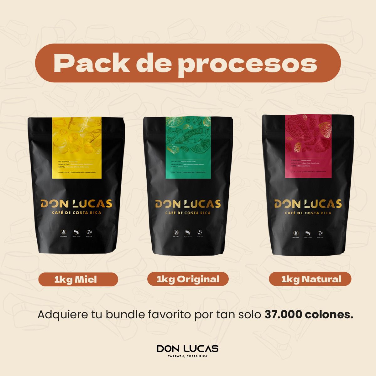 PACK DE PROCESOS